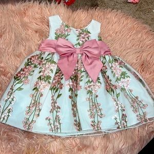 Sweet Heart Rose embroidered dress